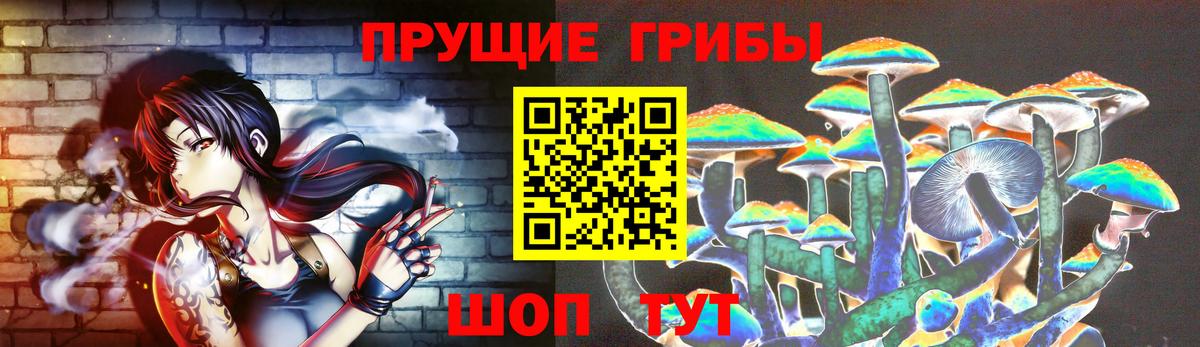 Донецк  Псилоцибиновые грибы MAGIC MUSHROOMS  Вход с VPN 